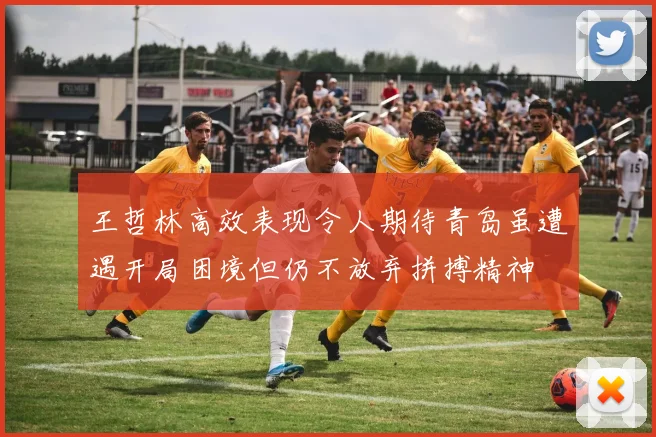 王哲林高效表现令人期待青岛虽遭遇开局困境但仍不放弃拼搏精神