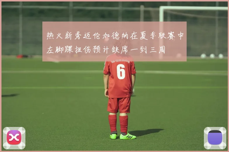 热火新秀迈伦加德纳在夏季联赛中左脚踝扭伤预计缺席一到三周